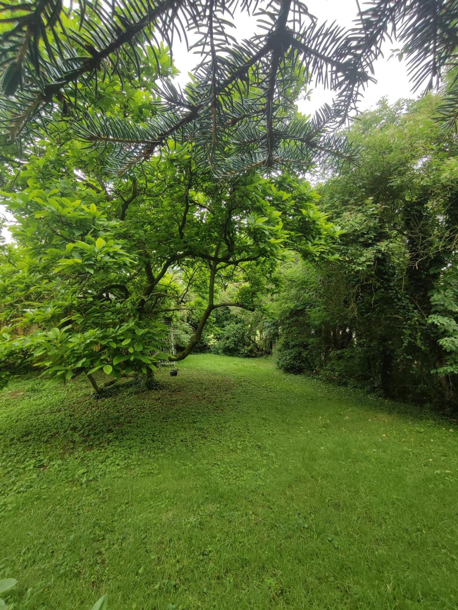 Ferienhaus Richard 埃施韦格 外观 照片
